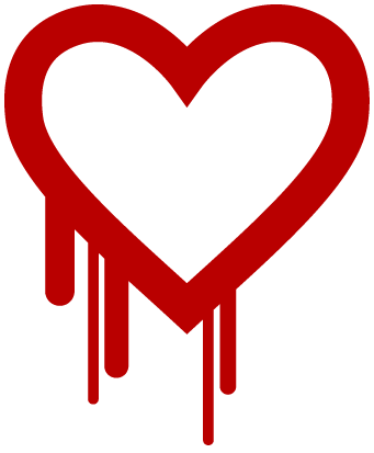 Heartbleed bug